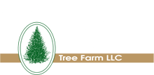 Smokey Holler