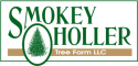 Smokey Holler